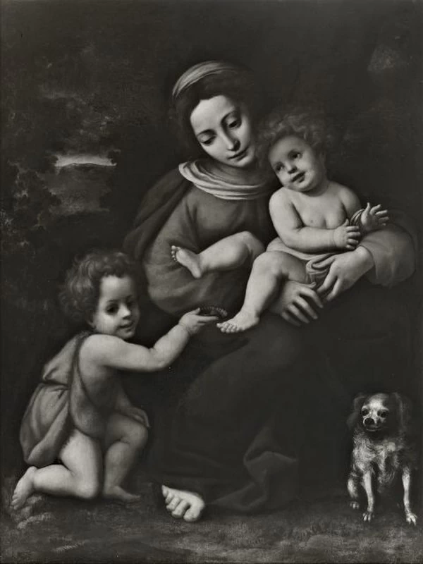 Madonna con Bambino e san Giovannino - Fondazione Zeri